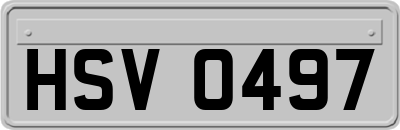 HSV0497