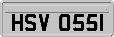 HSV0551
