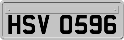 HSV0596