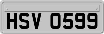 HSV0599
