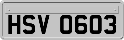 HSV0603