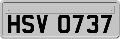 HSV0737