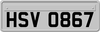 HSV0867