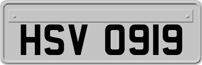 HSV0919