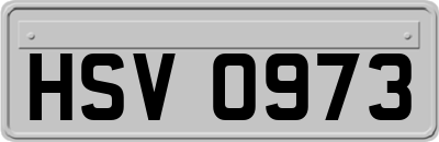 HSV0973