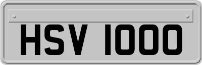 HSV1000