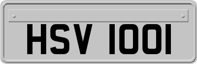 HSV1001