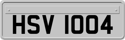 HSV1004