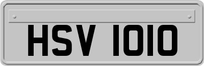 HSV1010