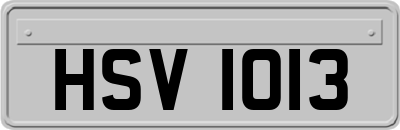 HSV1013