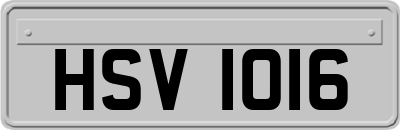 HSV1016