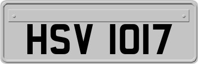 HSV1017