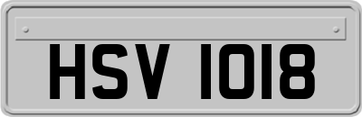 HSV1018