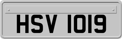 HSV1019