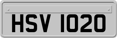HSV1020