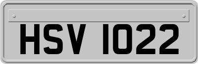 HSV1022