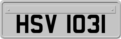 HSV1031