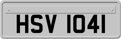 HSV1041