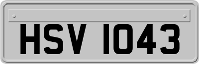 HSV1043