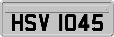 HSV1045
