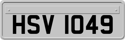 HSV1049