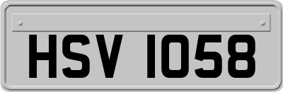 HSV1058