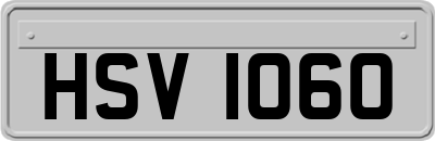HSV1060