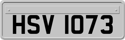HSV1073