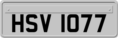 HSV1077