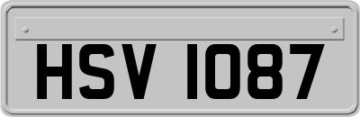 HSV1087