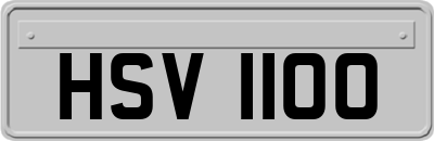 HSV1100
