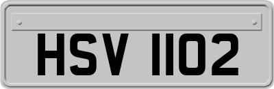 HSV1102