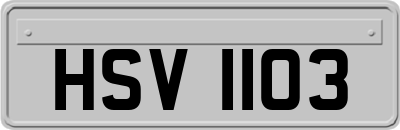 HSV1103