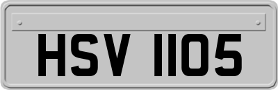 HSV1105