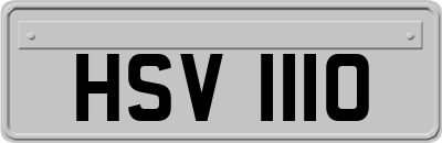 HSV1110