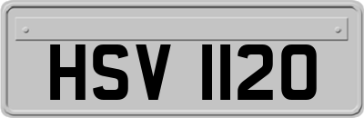 HSV1120