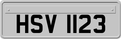 HSV1123