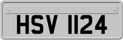 HSV1124