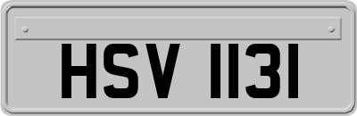 HSV1131
