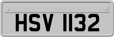 HSV1132
