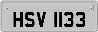 HSV1133