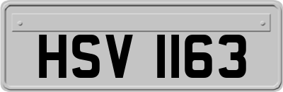 HSV1163