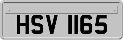 HSV1165