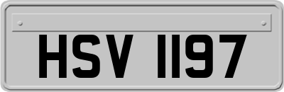 HSV1197