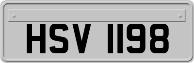 HSV1198