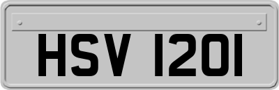 HSV1201