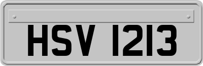 HSV1213
