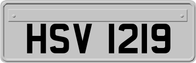 HSV1219