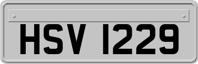 HSV1229