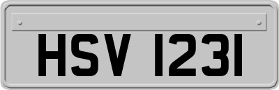 HSV1231